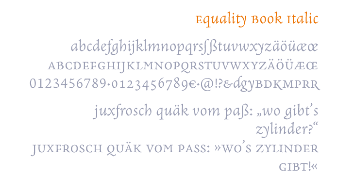 Font Equality Book Italic